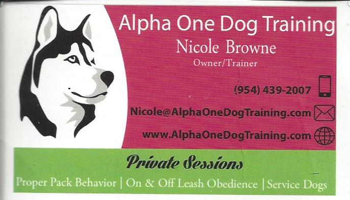 Dog Differences Service Therapy Emotional Support Hydrotherapy For Dogs In Orlando